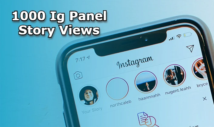 ig panel story views