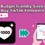 buy tik tok followers